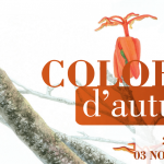 colori autunno